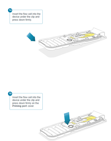 MinION Flow Cell insertion