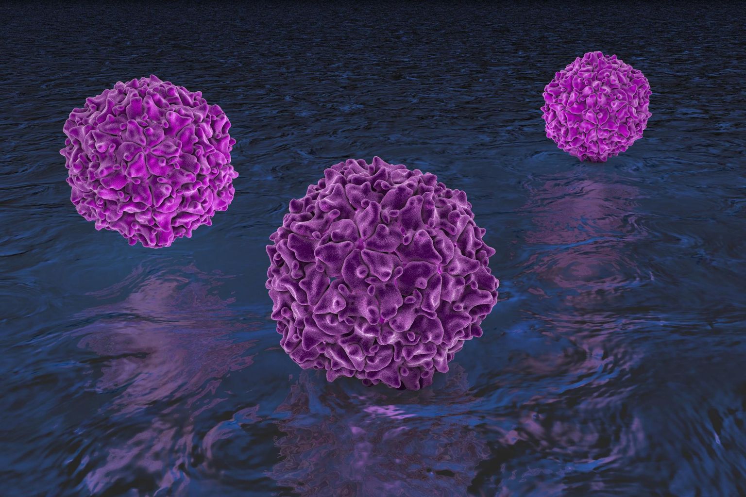Sustained detection of type 2 poliovirus in London sewage between February and July, 2022, by enhanced environmental surveillance