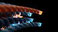Workflow overview: amplicon sequencing