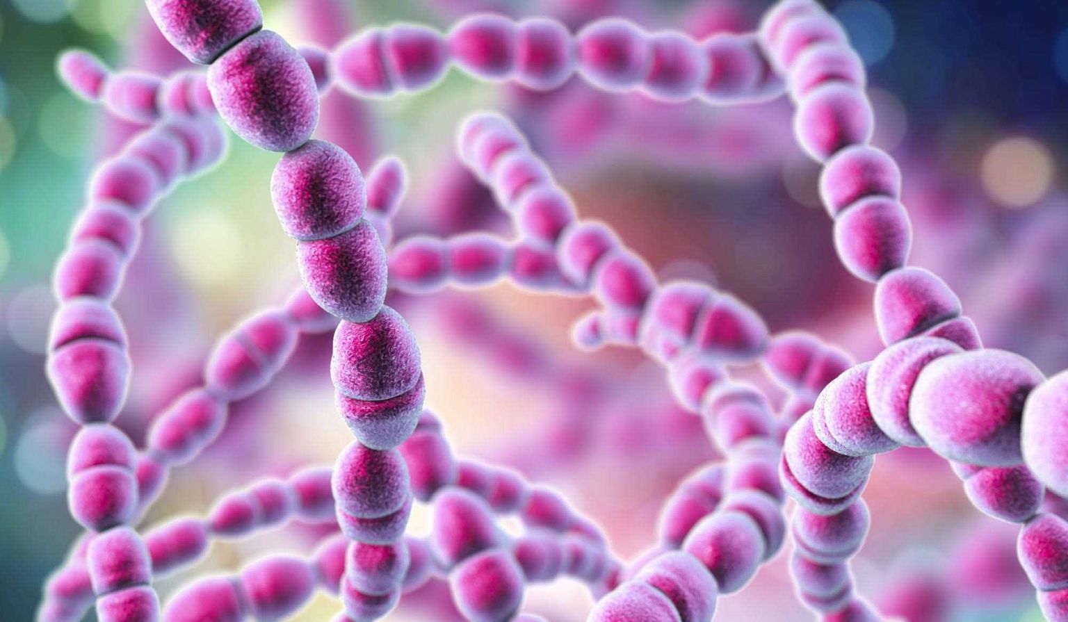 Case study: rapid epidemiological characterisation of a Streptococcus pyogenes outbreak using nanopore whole-genome sequencing