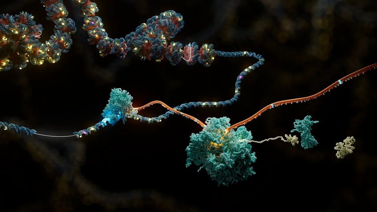 Deep insights into the immune response with multiomic nanopore sequencing