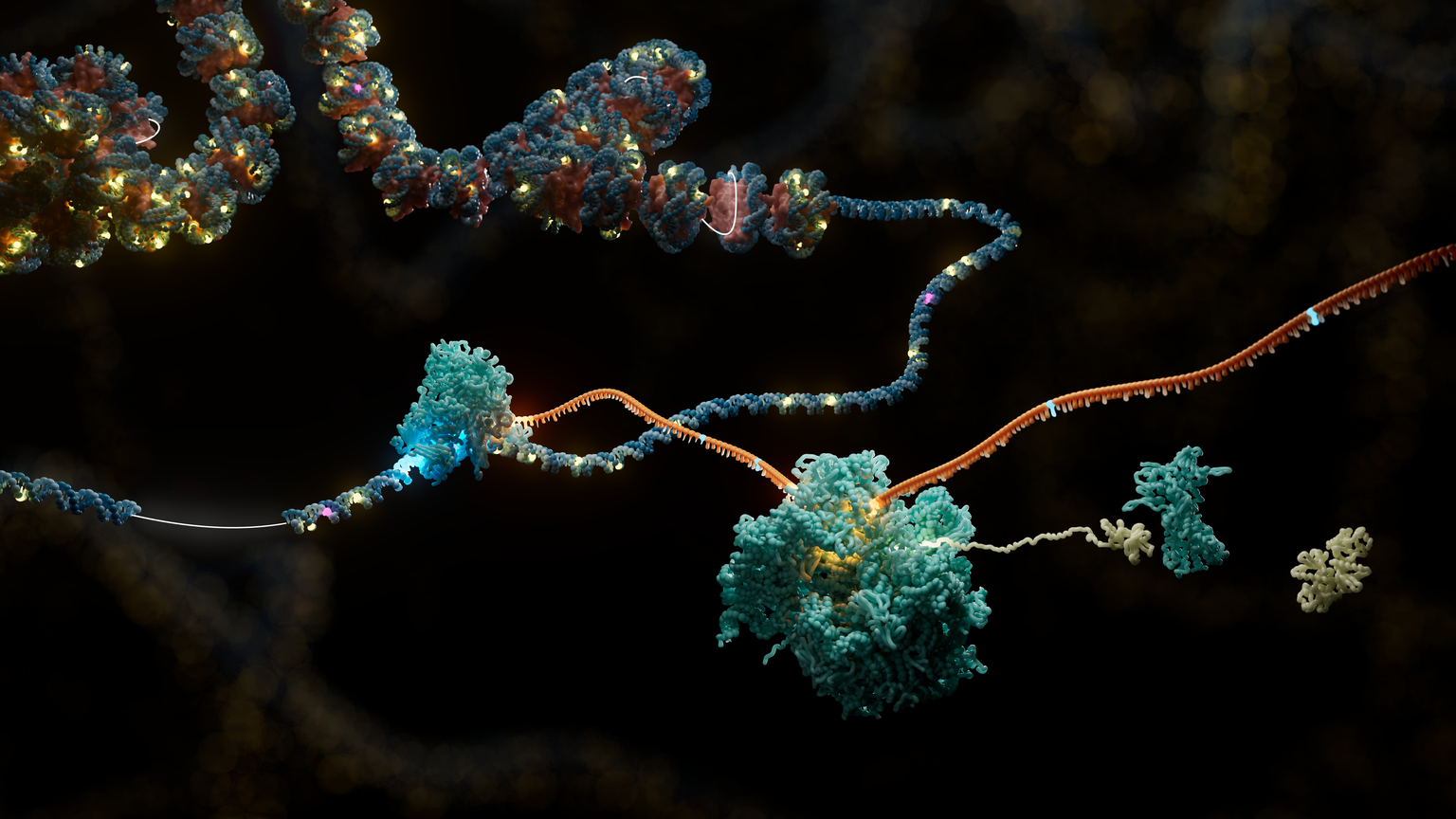 Deep insights into the immune response with multiomic nanopore sequencing