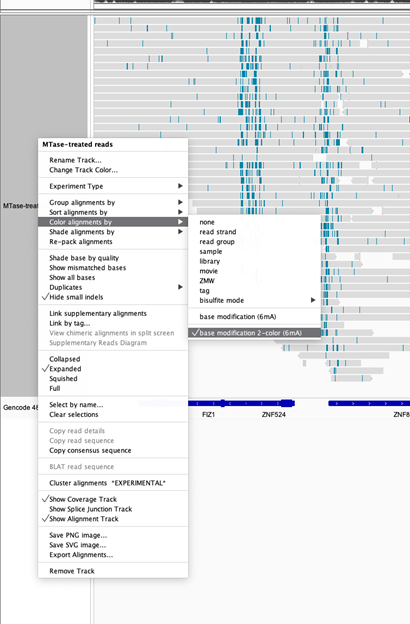 Chromatin_accessibility_know_how_figure_65