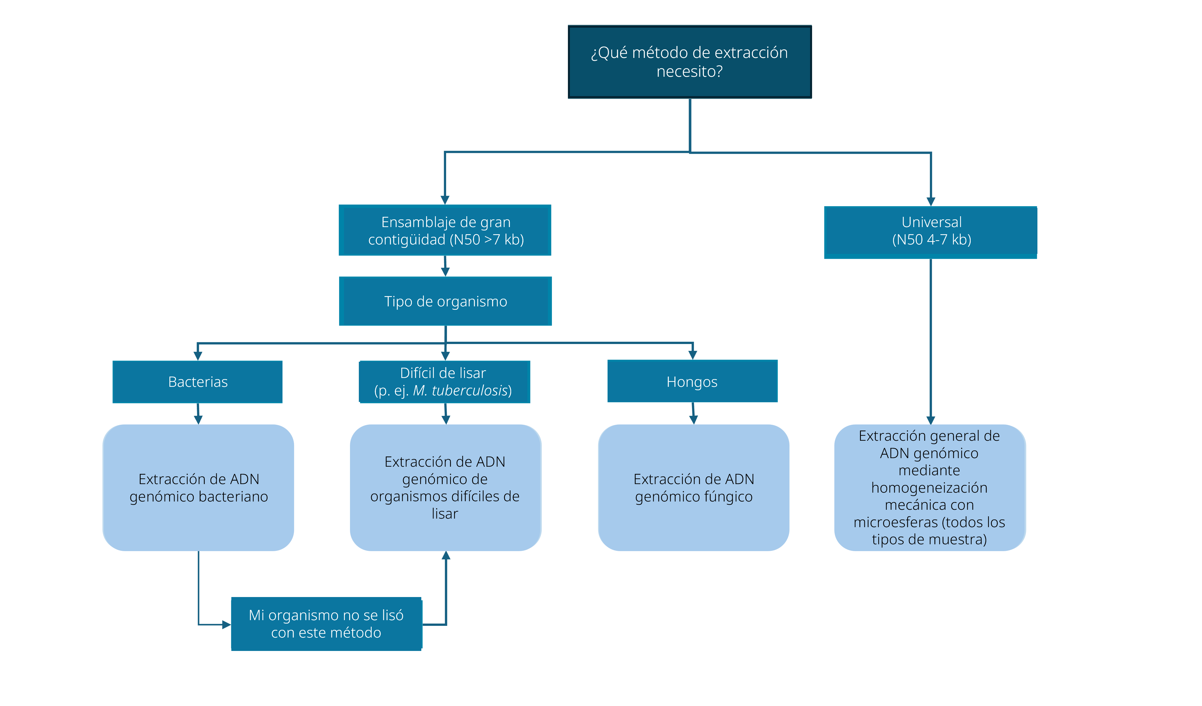 es-Decision tree extraction methods v02