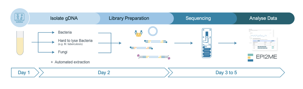 NO MISS protocol workflow overview NO MISS protocol workflow overview