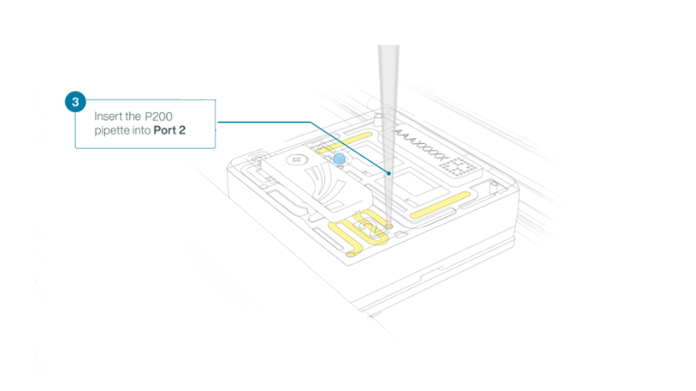 Insert the P200 tip into the Port 2 Insert the P200 tip into the Port 2