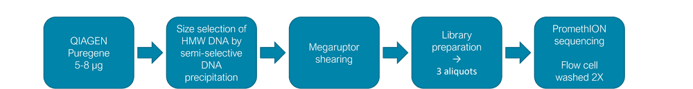 high output, long read sequencing flow chart