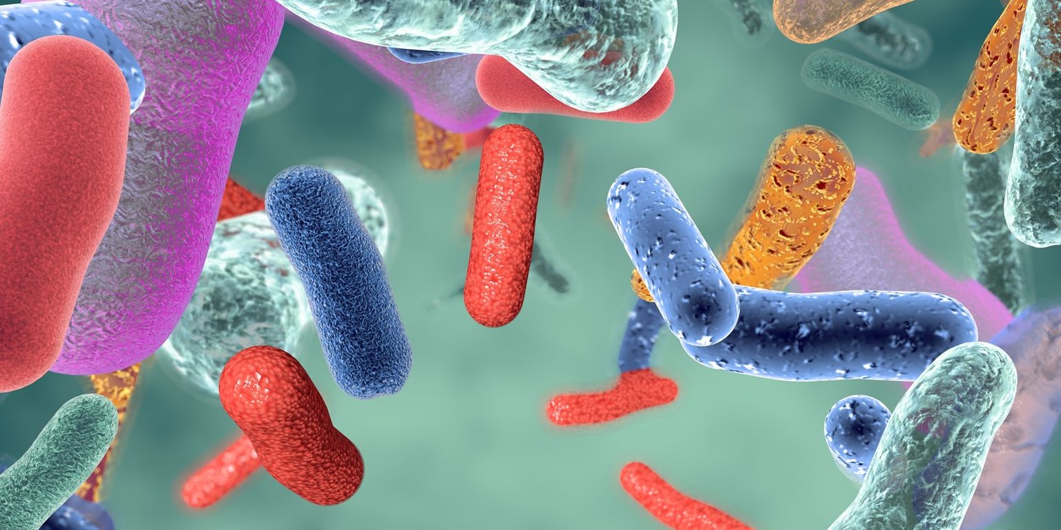 NCM 2021: Phages, faeces, and PromethION: using nanopore to investigate the cattle slurry virome