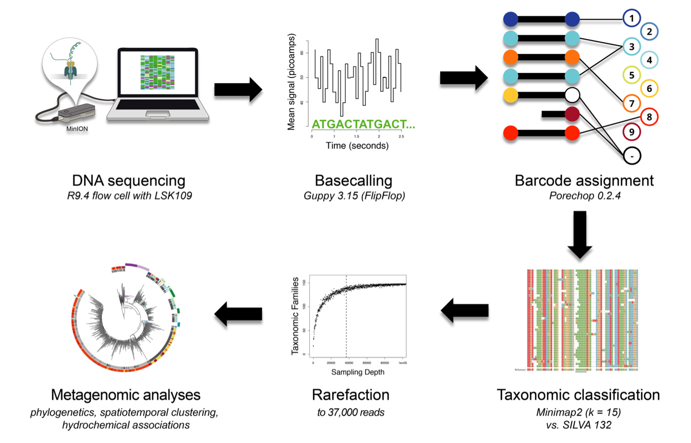 The benefits of MinION for metagenomic sequencing in the field