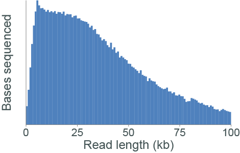 2019-07-18 Drosophila read length