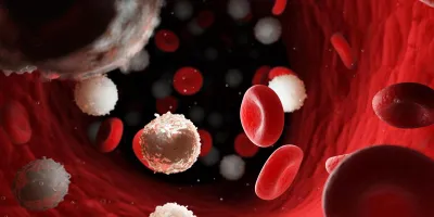 Transcriptional readthrough precedes alternative splicing programs triggered in CML cells by imatinib