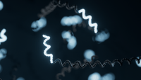 White paper: RNA and cDNA sequencing
