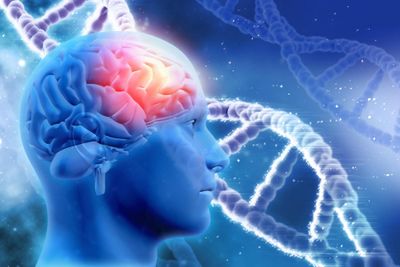 Human brain and DNA strands