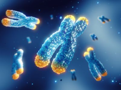 Oxford Nanopore Telo-Seq