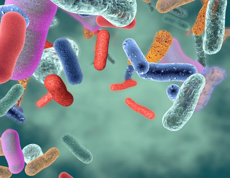 Bacterial community- metagenomics