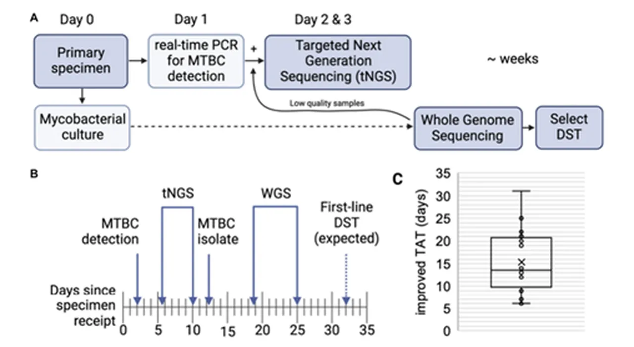 Workflow outlining the turnaround times for MTBC molecular testing and sequencing