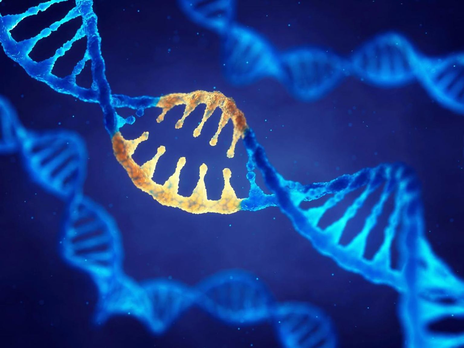 Targeted nanopore sequencing with Cas9-guided adapter ligation