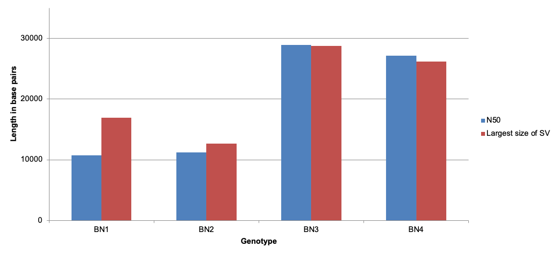 Read length histogram