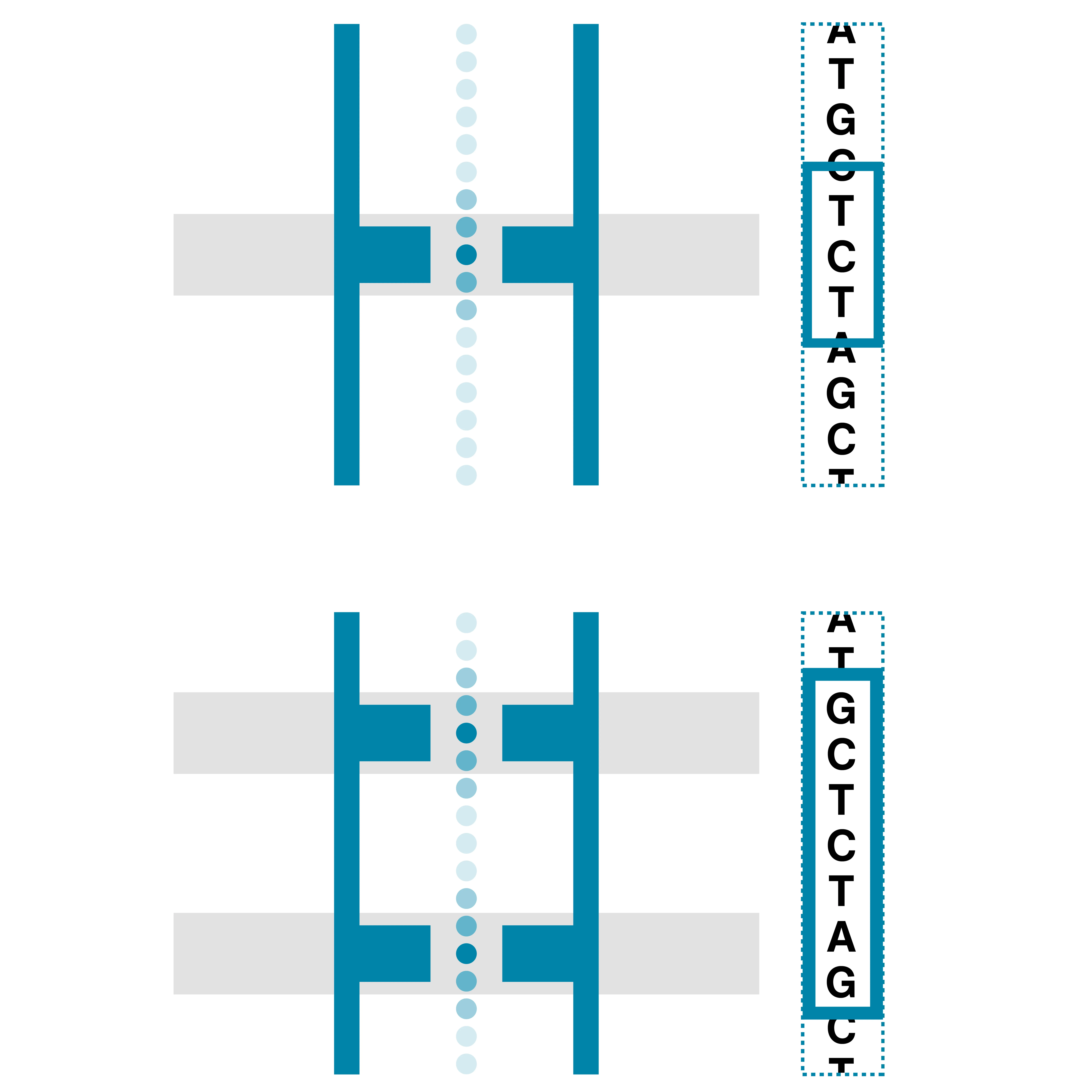Different types of nanopore