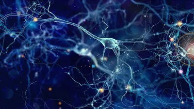 Targeted long-read sequencing as a single assay improves diagnosis of spastic-ataxia disorders