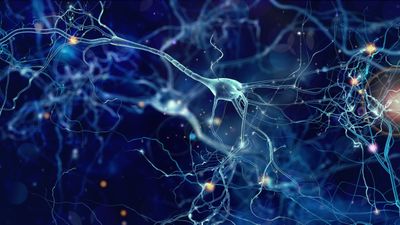 Targeted long-read sequencing as a single assay improves diagnosis of spastic-ataxia disorders