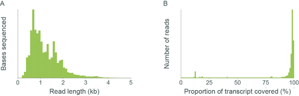 Yeast RNA RNAqueous
