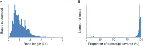 Yeast RNA TRIzol