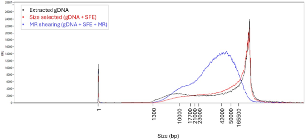 Chromatin_access_MR_frag_overlay_extract_frag_length