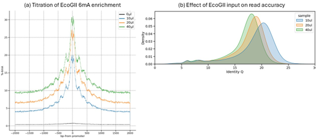 Chromatin_accessibility_know_how_figure_C1