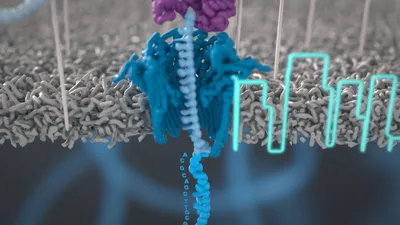 A guide to targeted sequencing with Oxford Nanopore