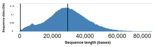 Human var cell read length nov2024