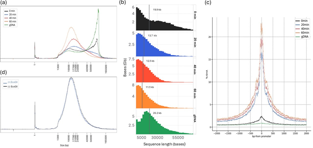 Chromatin_accessibility_know_how_figure_B1