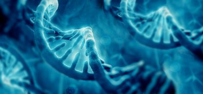 DNA molecule