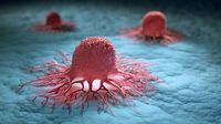 NCM 2023 Singapore: Direct detection of DNA modifications in human cancer genomes
