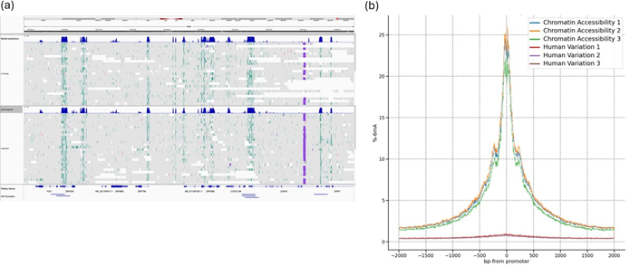 Chromatin_accessibility_know_how_figure_5