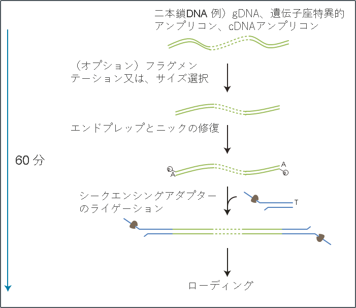 LSK114 workflow_JP LSK114 workflow_JP