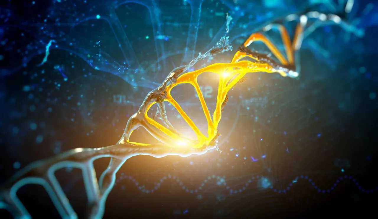 From kilobases to "whales": a short history of ultra-long reads and high-throughput genome sequencing