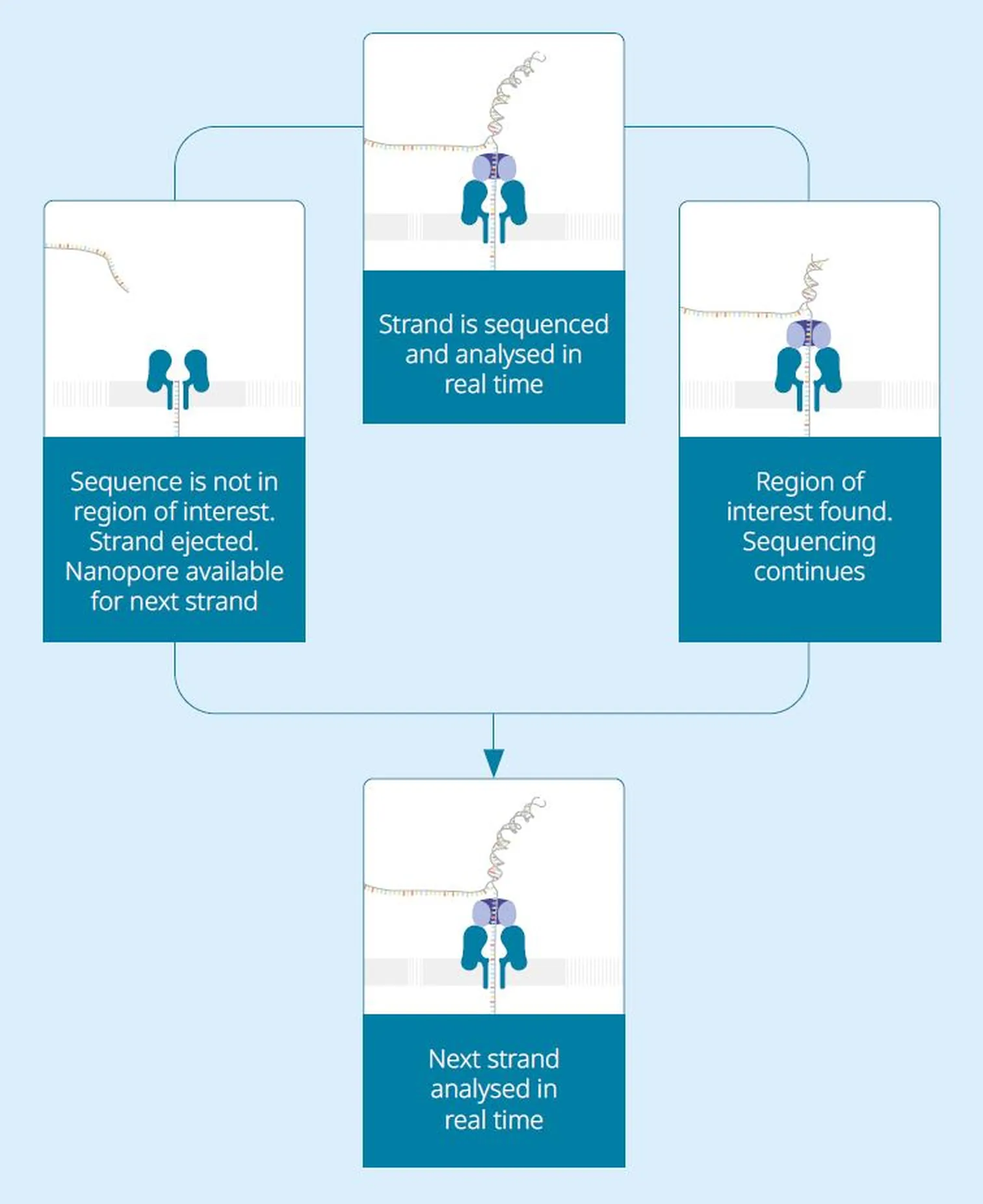 A schematic showing how adaptive sampling is performed.