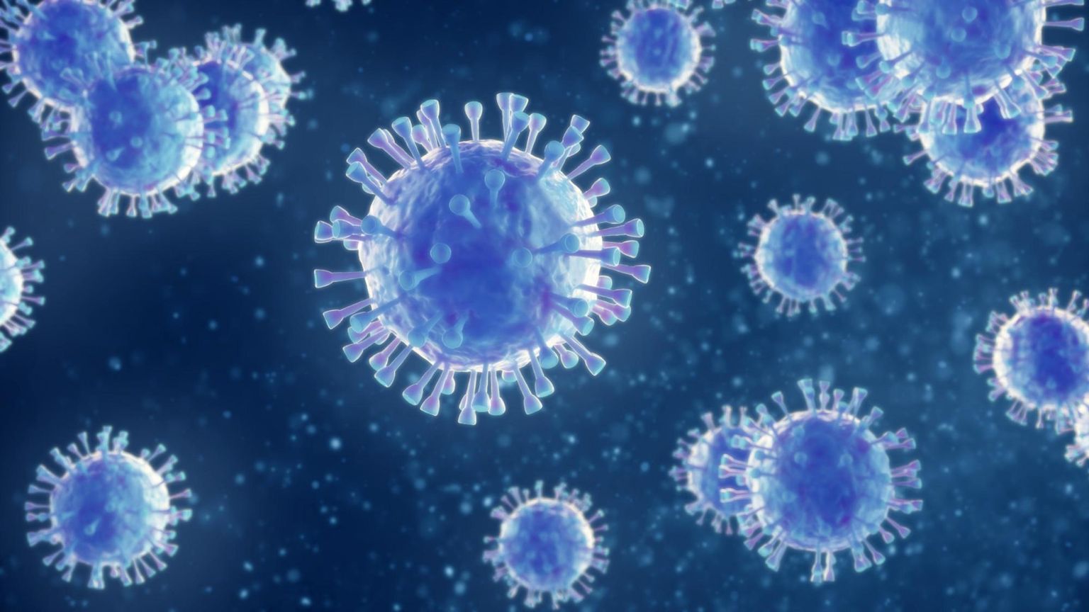 Molecular diagnosis of patients with hepatitis A virus infection using amplicon-based nanopore sequencing