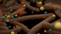 Workflow overview: pathogen metagenomics