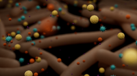 Workflow overview: pathogen metagenomics