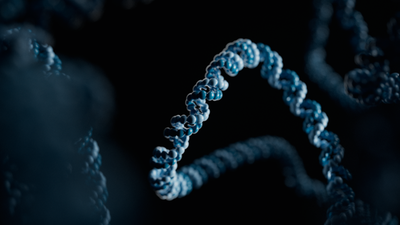 Long DNA