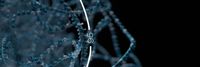 Workflow overview: large cohort sequencing