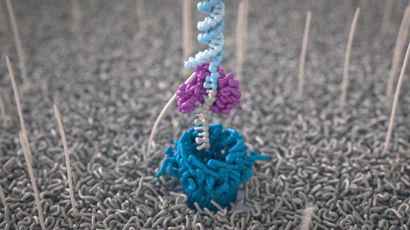How nanopore sequencing works