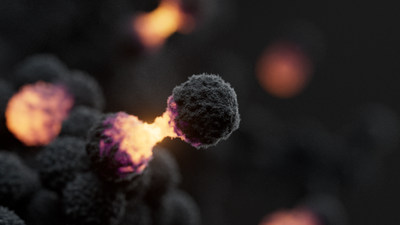 Cancer cell dividing