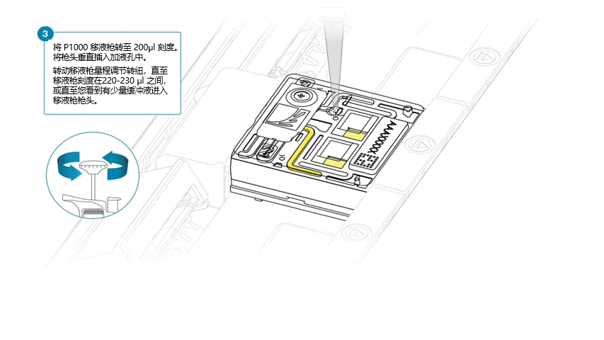 Prom Flowcell Loading 3 _ Chinese _ Updated 18Sep2026