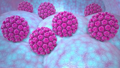 HPV