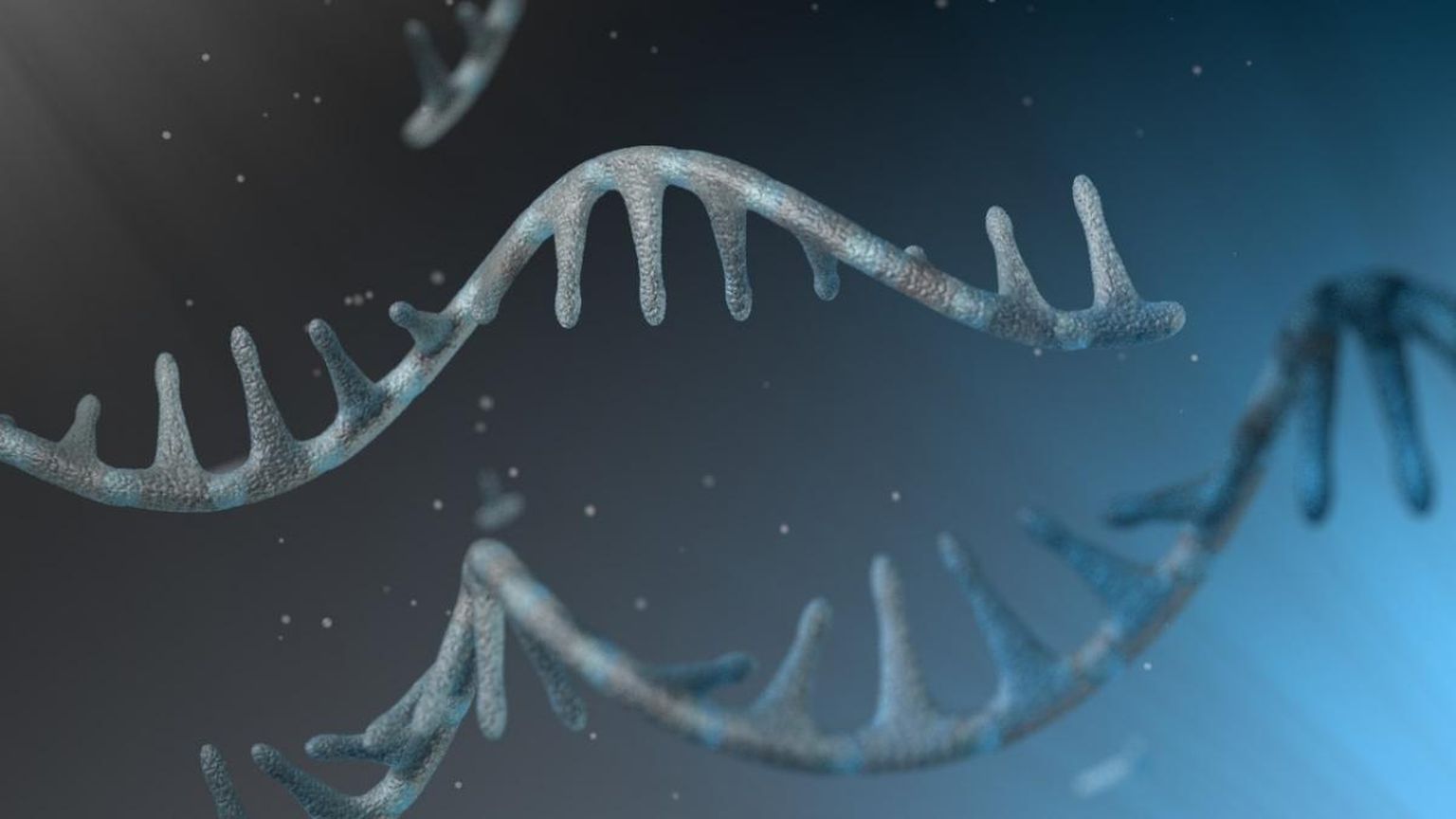 A systematic benchmark of nanopore long-read RNA sequencing for transcript-level analysis in human cell lines