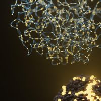 Case study: exploring the future of rapid leukaemia diagnosis with a single-platform workflow
