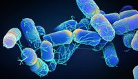 White paper: pathogen surveillance